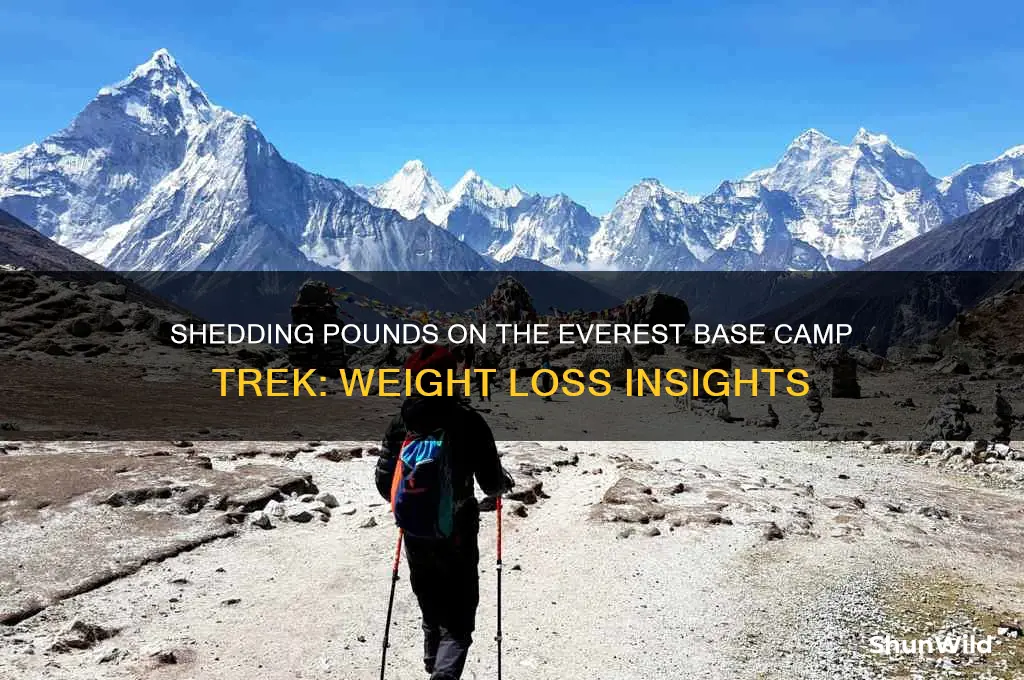 how much weight loss everest base camp trek