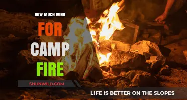Safe Campfire Winds: Understanding Limits for Outdoor Fire Safety