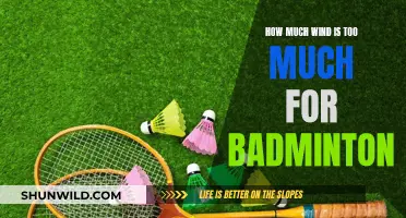 Badminton Wind Limits: When to Stop Playing?