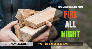Perfect Campfire All Night: Essential Wood Quantity Guide for Campers