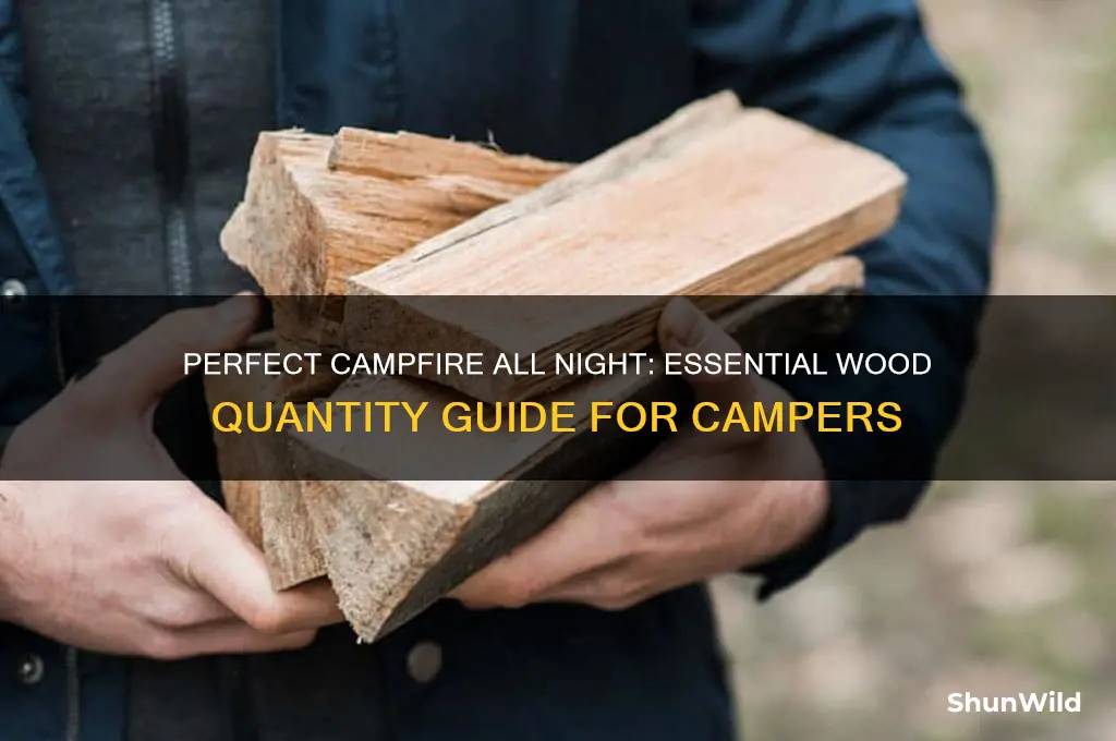 how much wood for camp fire all night