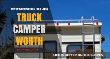 Valuing a 1988 Lance Truck Camper: How Much Wood is Worth?