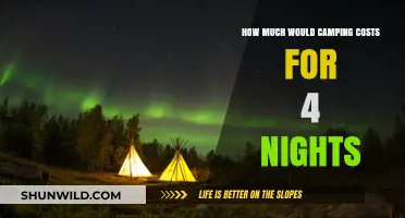 Budget-Friendly Camping: 4-Night Trip Cost Breakdown and Tips