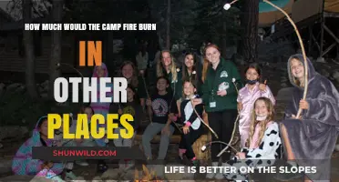 Camp Fire's Devastation: Imagining Its Impact in Different Locations