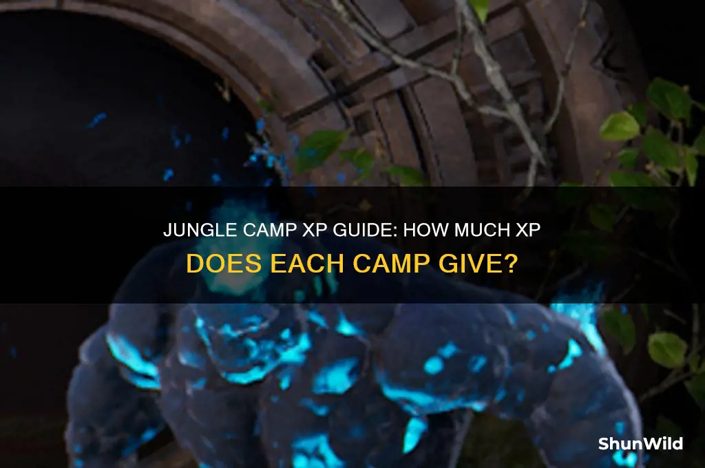 how much xp does each jungle camp give