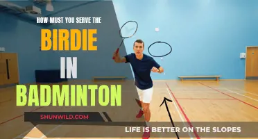Serve Secrets: Badminton Birdie Basics