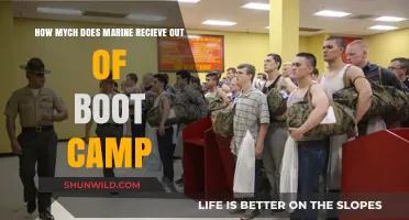 Marine Boot Camp Pay: Understanding Earnings After Basic Training
