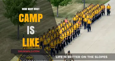 Navy Boot Camp Unveiled: Rigorous Training, Discipline, and Transformation Explained