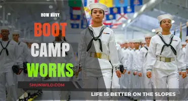 Inside Navy Boot Camp: Training, Challenges, and Transformation Explained