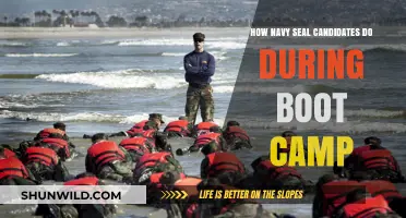 Navy SEAL Boot Camp: Rigorous Training and Candidate Performance Insights