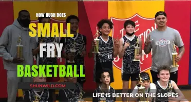 Small Fry Basketball: Affordable Fun for Kids