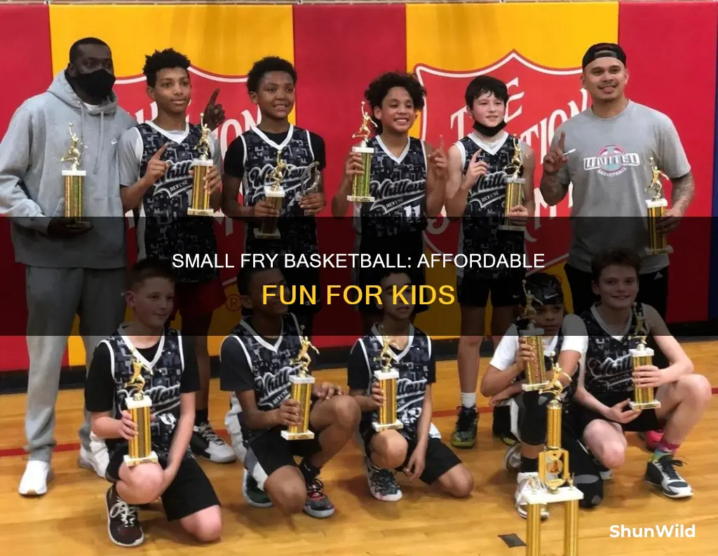 how nuch does small fry basketball