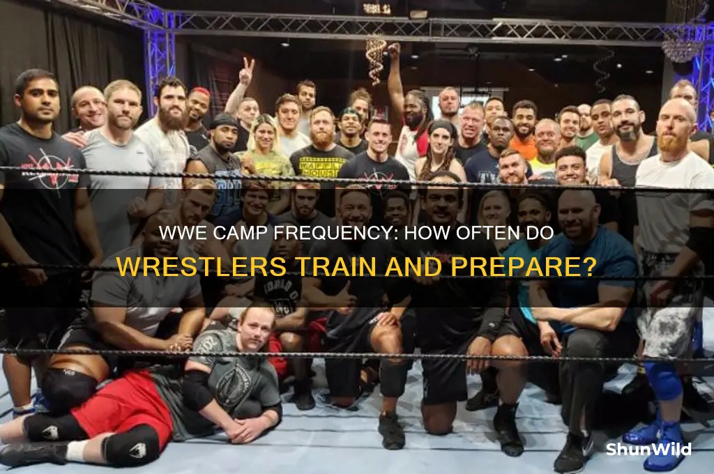 how often camp wwe