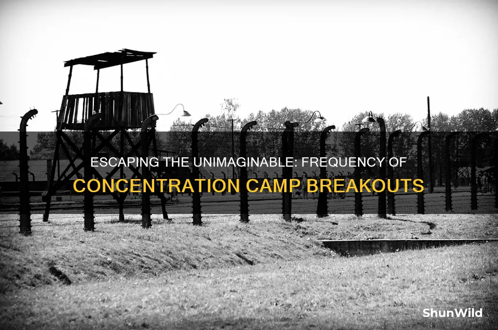 how often did people escape concentration camps