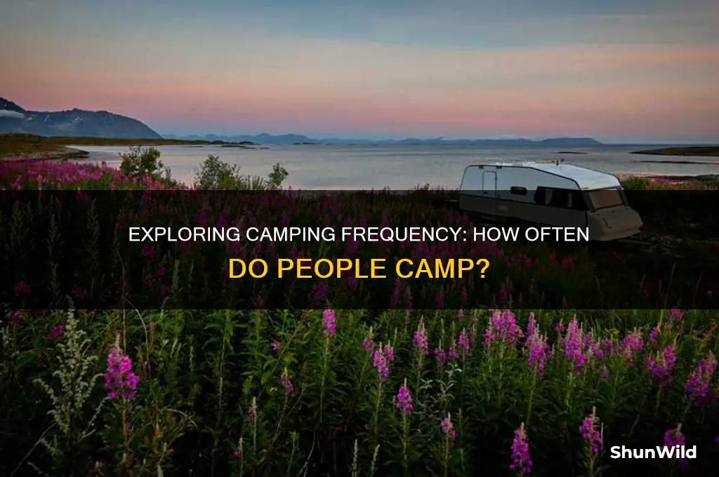 how often do people camp