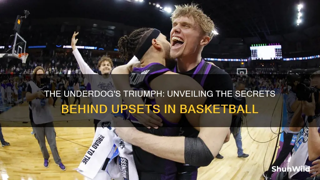 how often do underdogs win in basketball