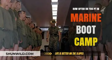 Marine Boot Camp PT Frequency: What to Expect in Training