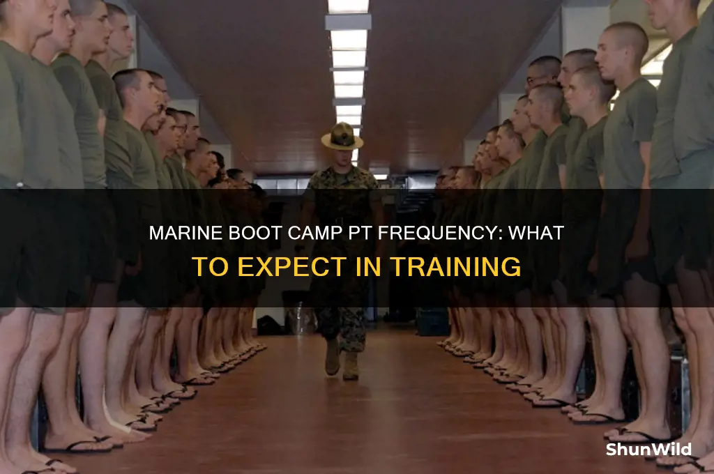 how often do you pt in marine boot camp