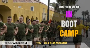 Boot Camp Running Frequency: How Often Should You Hit the Ground?