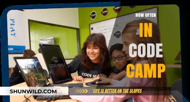 How Often Should You Attend Code Camp for Maximum Learning?
