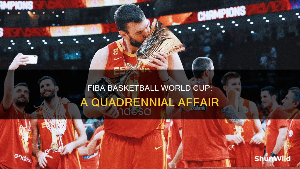 how often is fiba basketball world cup