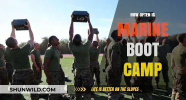 Marine Boot Camp Frequency: How Often Do Recruits Train?