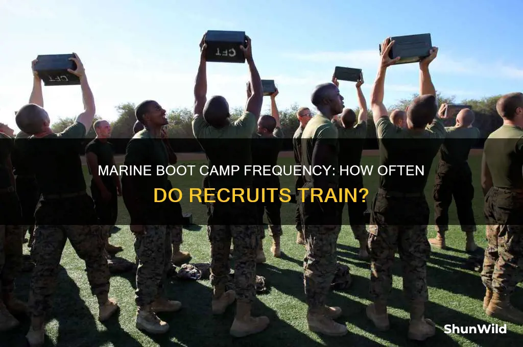 how often is marine boot camp