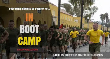Marine Boot Camp Fitness: Push-Up and Pull-Up Frequency Revealed
