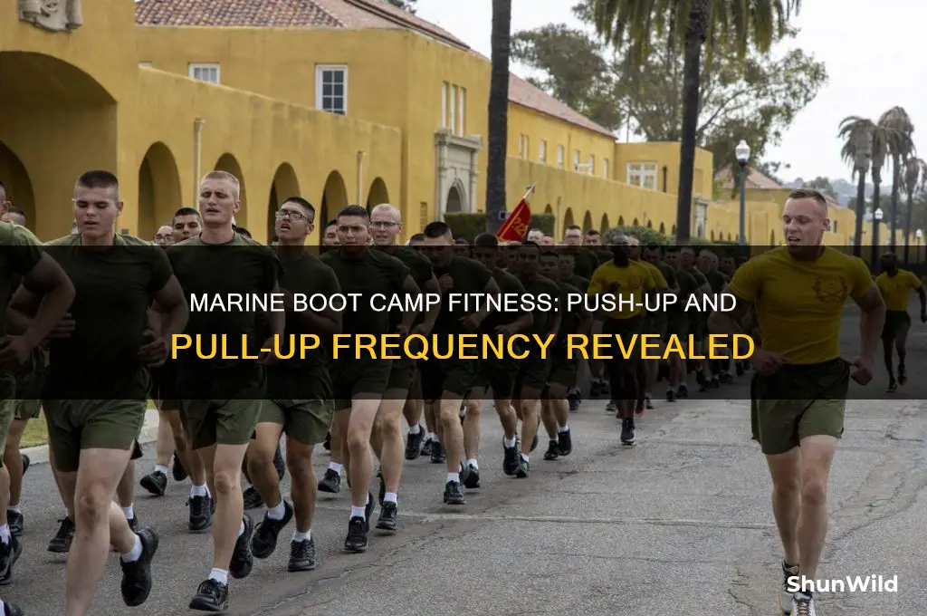 how often marines do push up pull in boot camp