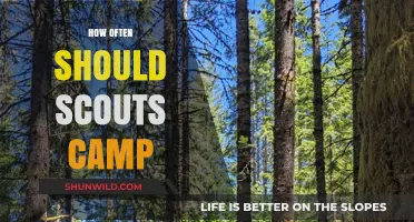 Optimal Scouting Camping Frequency: Balancing Adventure and Skill Development