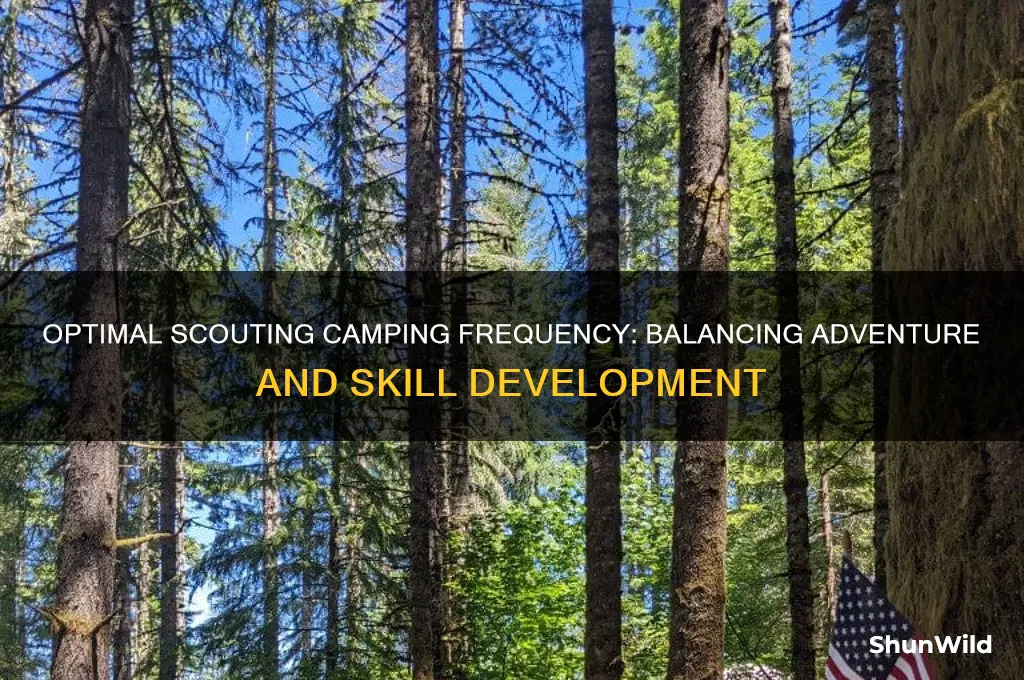 how often should scouts camp