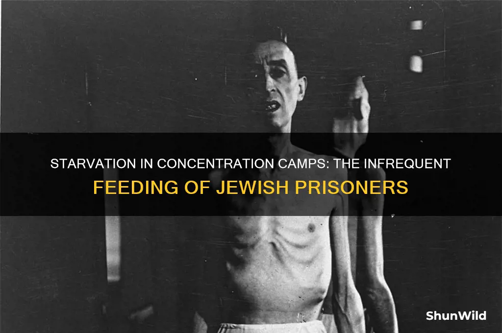 how often were the jews fed in concentration camps