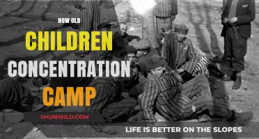 Children in Concentration Camps: Understanding Their Age and Plight