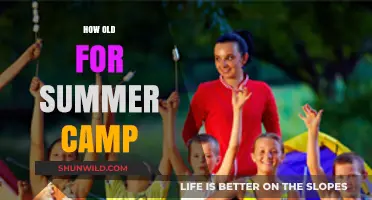Perfect Age for Summer Camp: When Should Kids Attend?