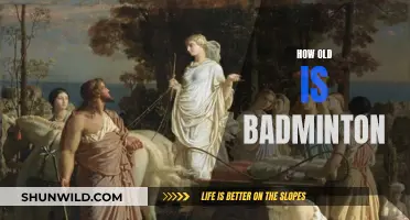 Badminton's Ancient Roots: A Historical Perspective