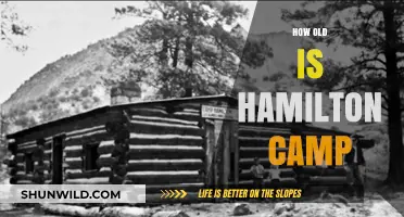 Discovering Hamilton Camp's Age: A Journey Through His Life