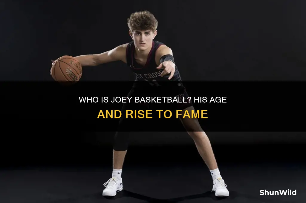 how old is joey basketball