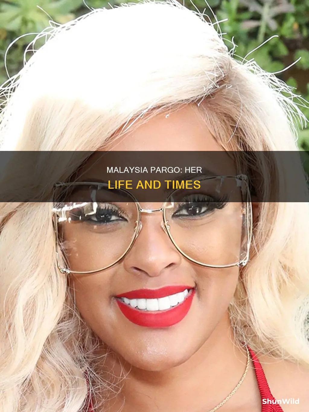 how old is malaysia from basketball wife