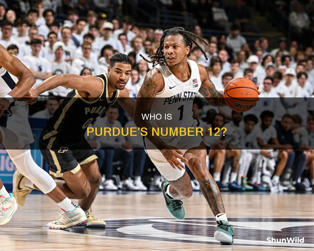 how old is number 12 on purdue basketball