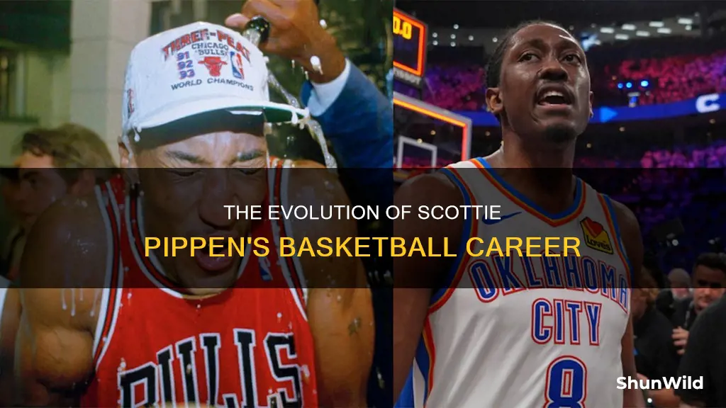 how old is scottie pippen basketball