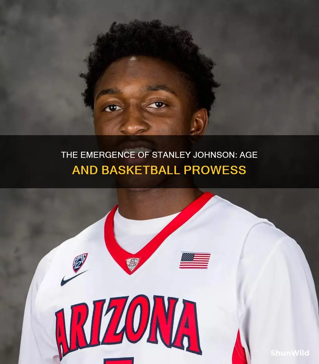 how old is stanley johnson basketball