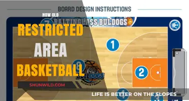 Restricted Area: Basketball's Age-Old Debate
