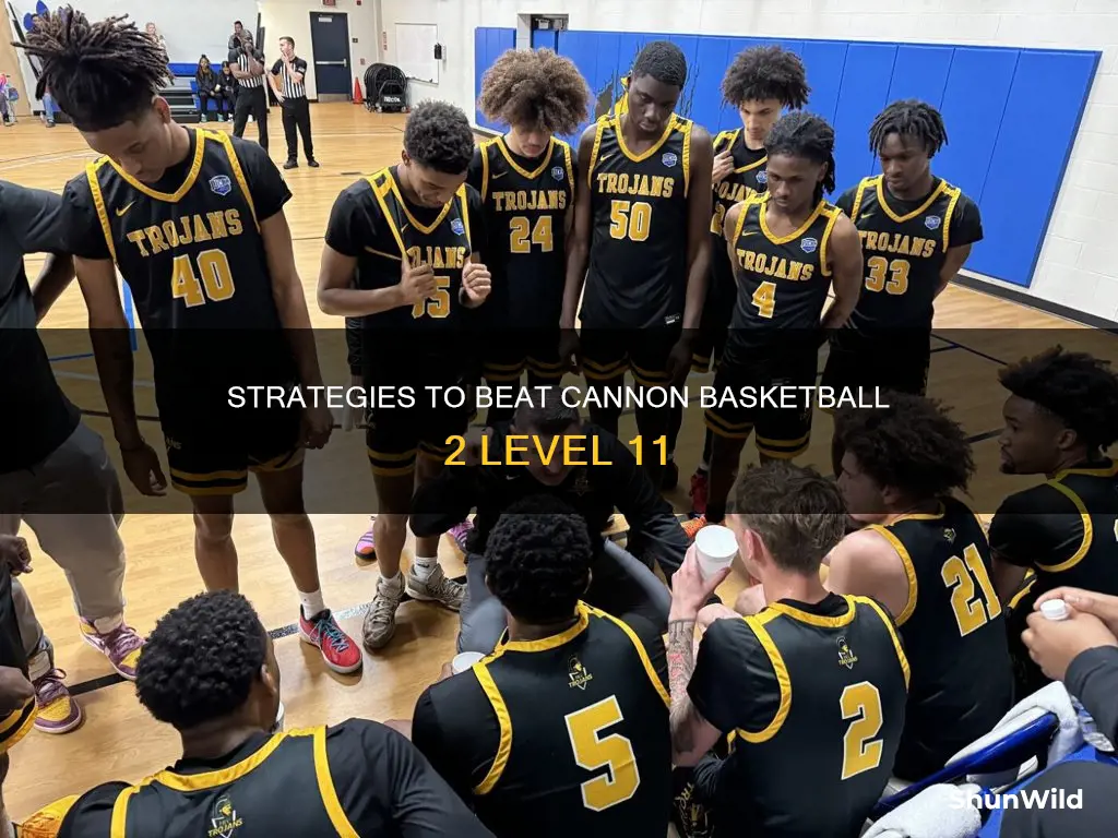 how ot pass level 11 on cannon basketball 2