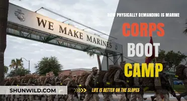 Marine Corps Boot Camp: Unveiling the Physical Demands and Challenges