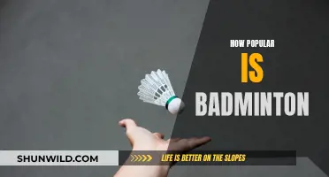 Badminton's Global Popularity and Its Rising Fanbase