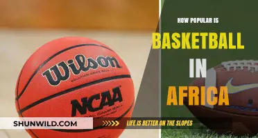 Basketball's Rising Popularity in Africa