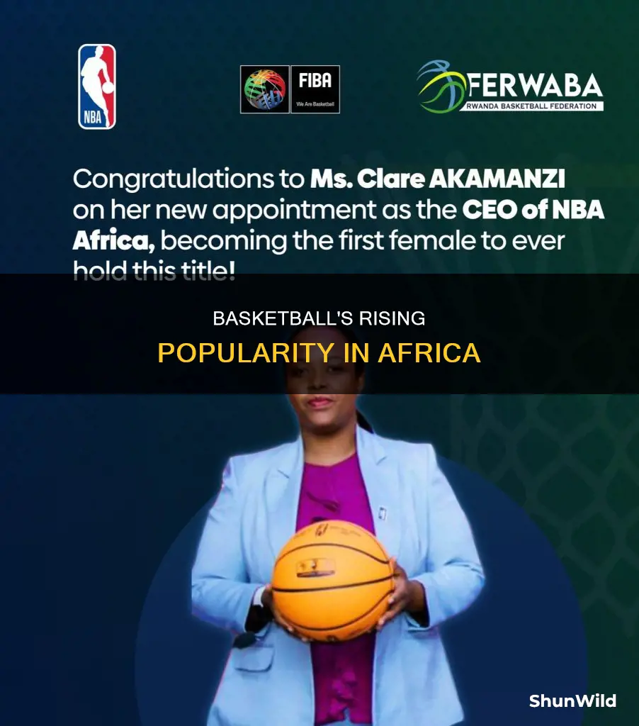 how popular is basketball in africa