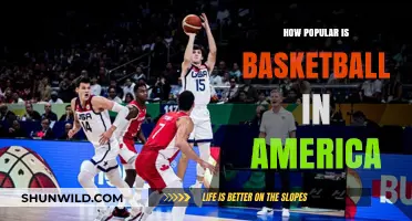 Basketball's Popularity in America: A Cultural Phenomenon