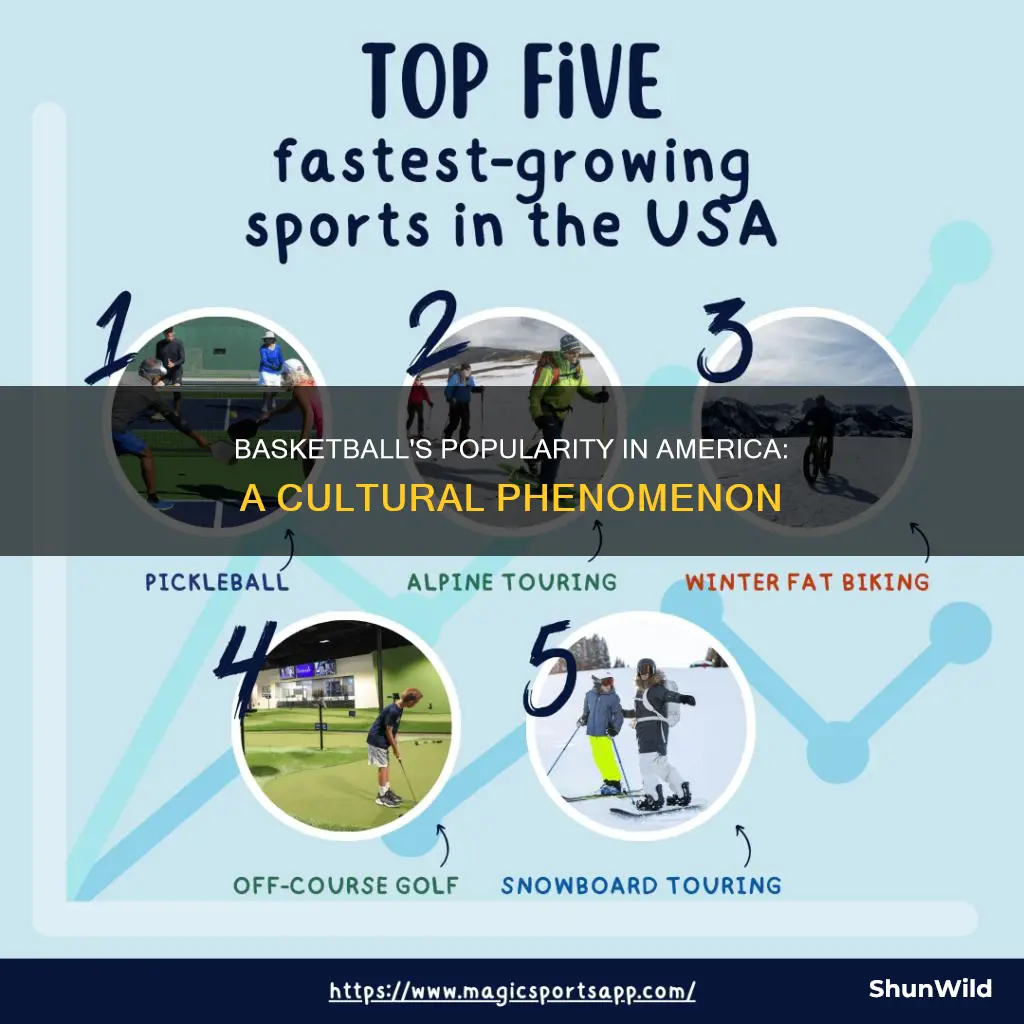 how popular is basketball in america