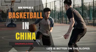 Basketball in China: A Cultural Phenomenon